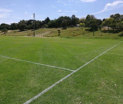 Sports Field Maintenance at George Lea Park:  Sandton Sports Club, Gauteng